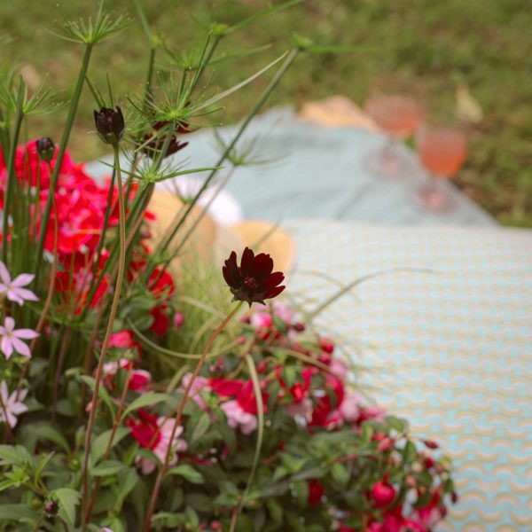 Joli Pot Rose – Image 5