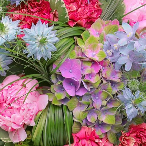 Pot Garden – Image 5