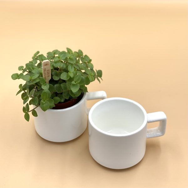 TASSE EXPRESSO - Affari of Sweden