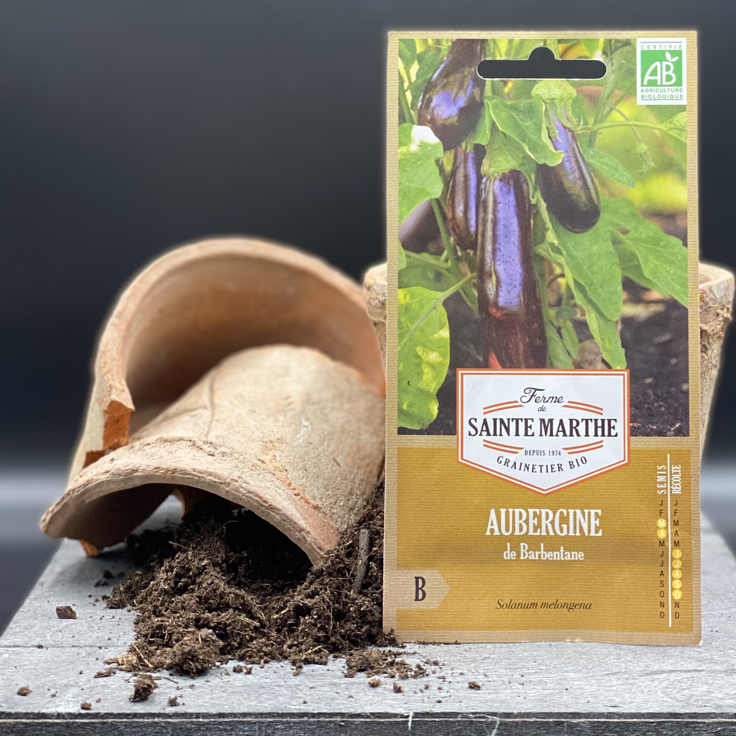 Aubergine de Barbentane