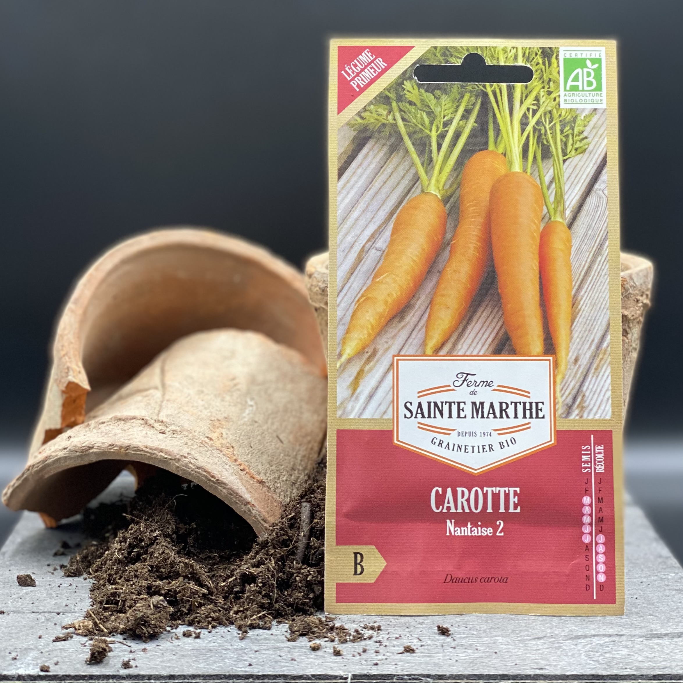 Carotte Nantaise 2 Carotte Nantaise 2