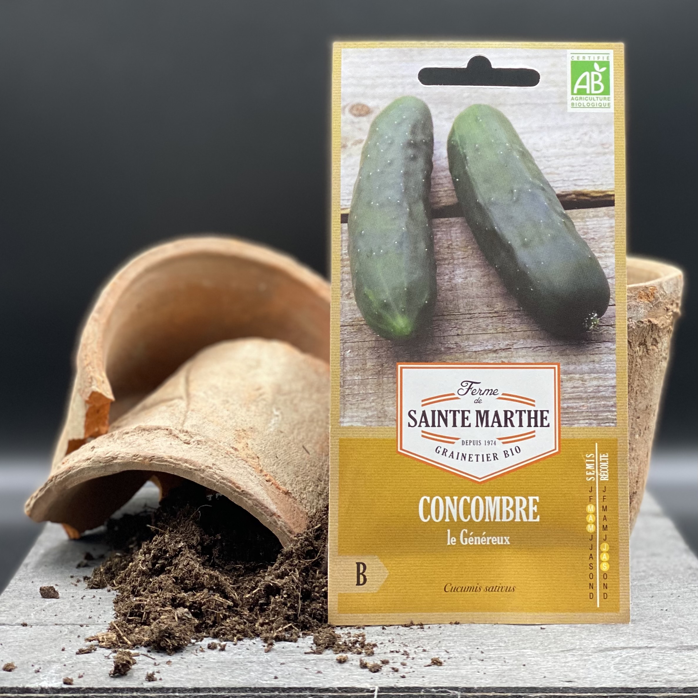 Concombre Le Génereux Concombre Le Génereux