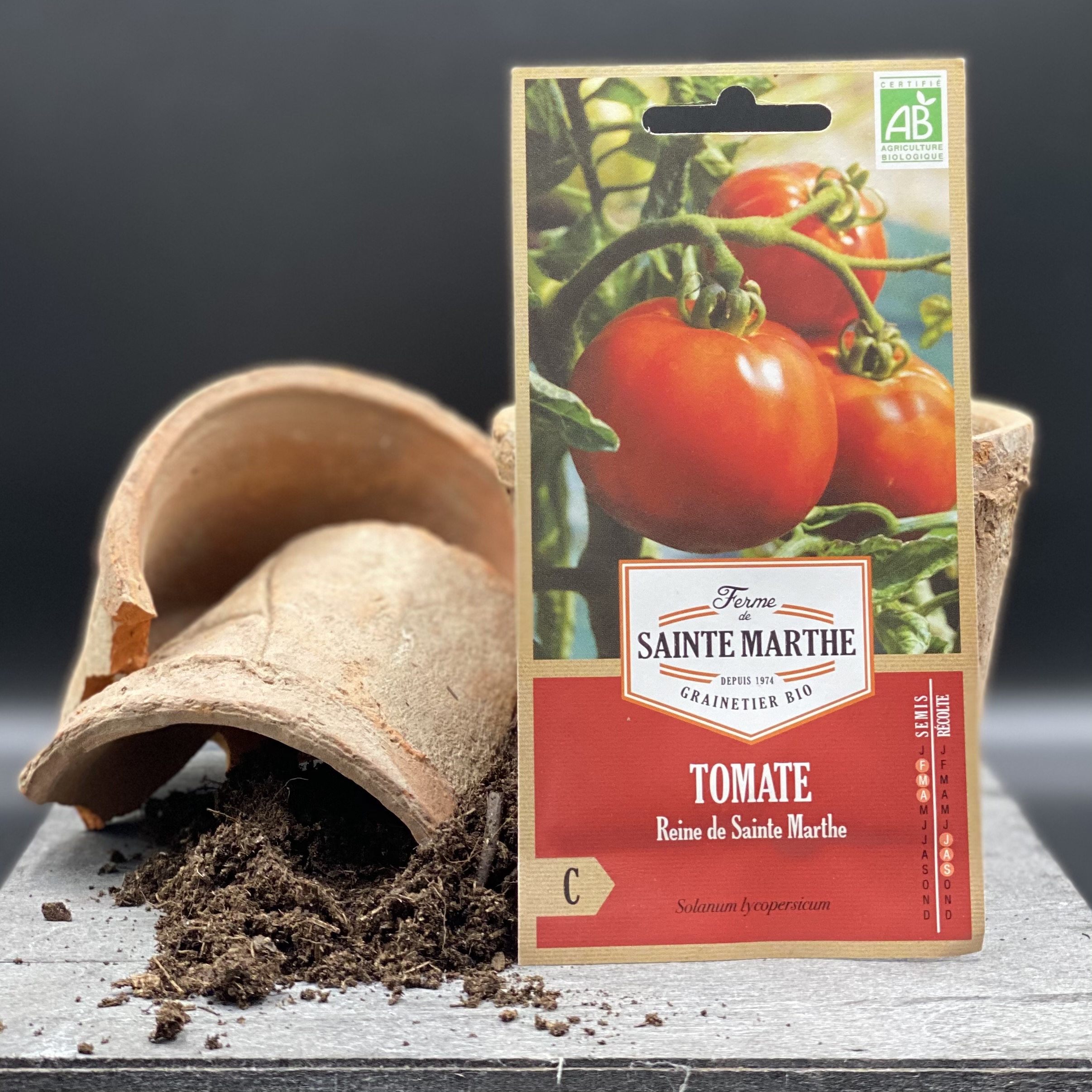 Tomate Reine de Ste Marthe Tomate Reine de Ste Marthe