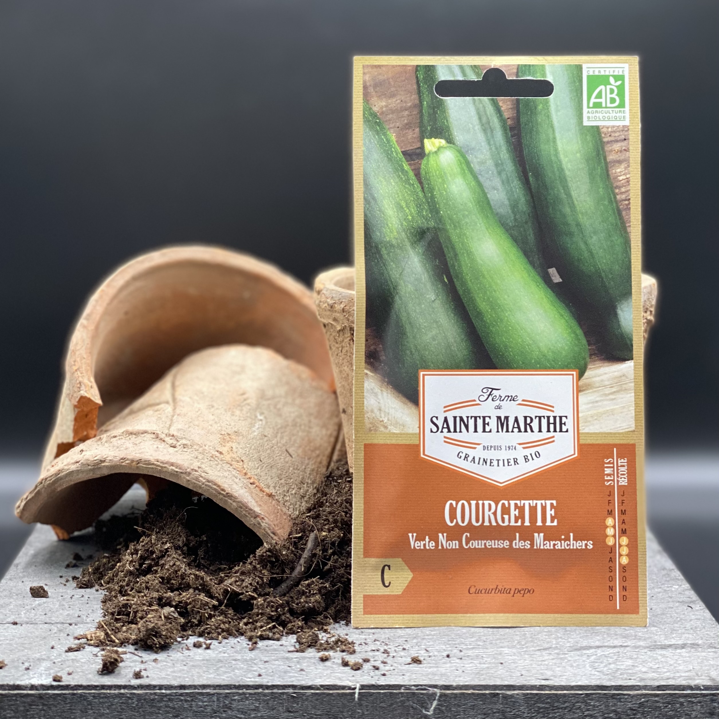 Courgette verte des Maraichers Courgette verte des Maraichers