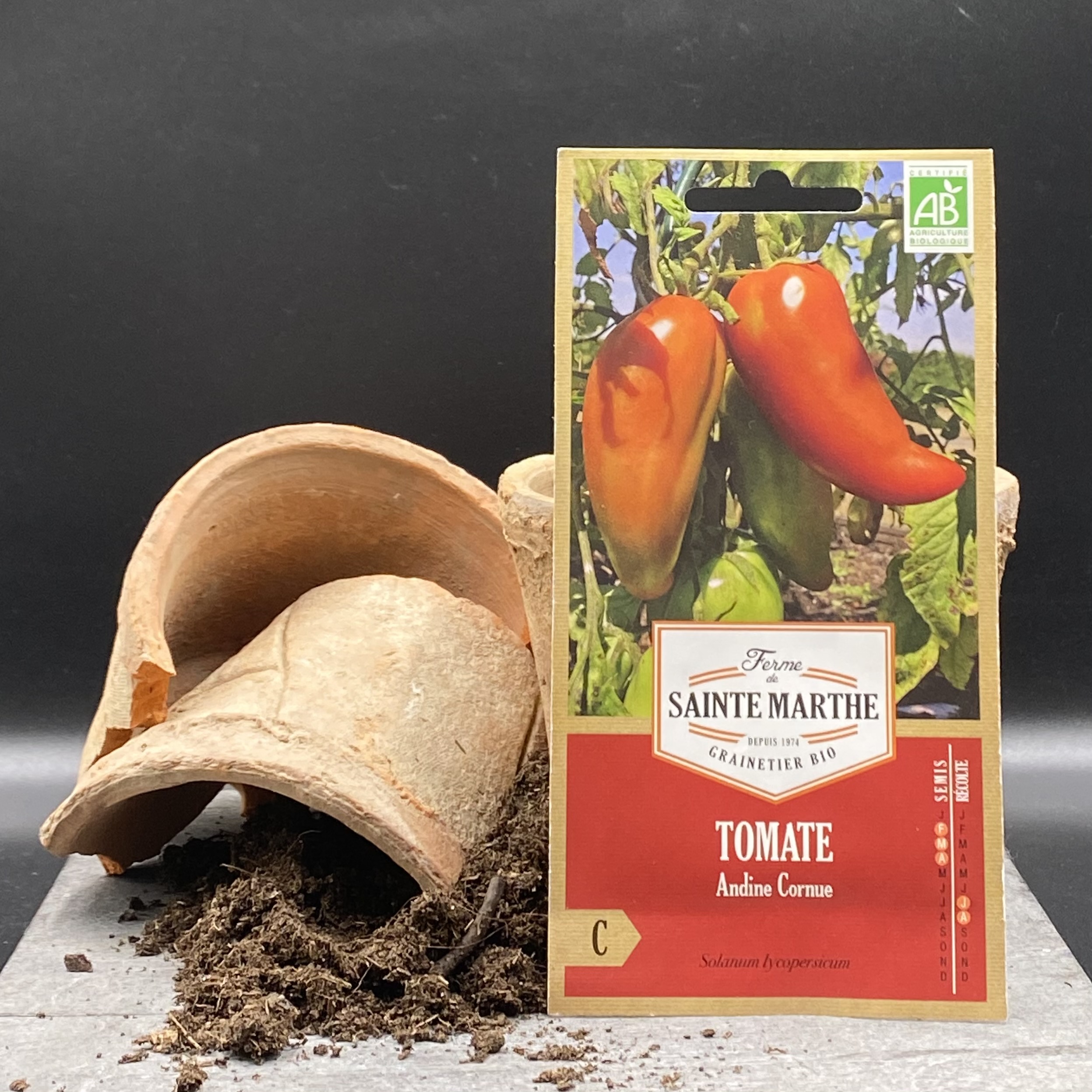 Tomate Andine Cornue Tomate Andine Cornue