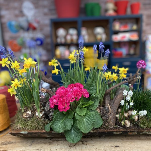 La Tuile du Printemps – Image 4