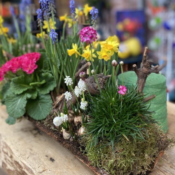 La Tuile du Printemps – Image 3