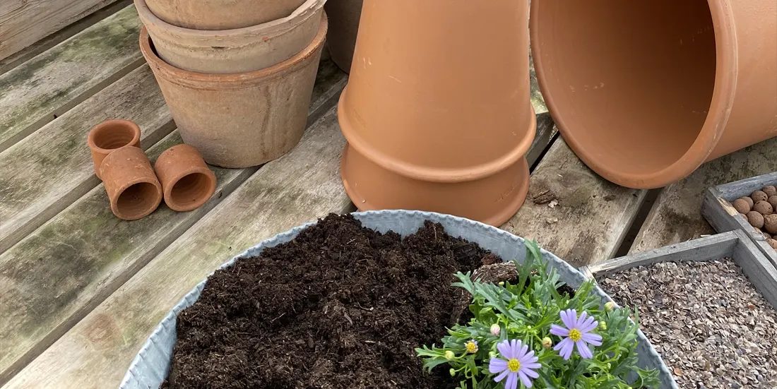 atelier_fleur_de_pot