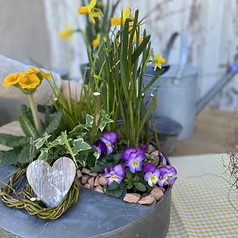 accueil_nos_plantes