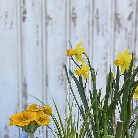 jardinerie_urbaine