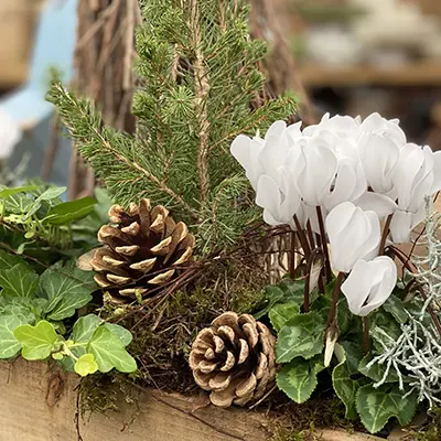 rudel_fleure_accueil_noel_2023