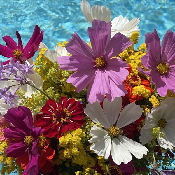 Le Bouquet 100 % RUDEL – Image 3