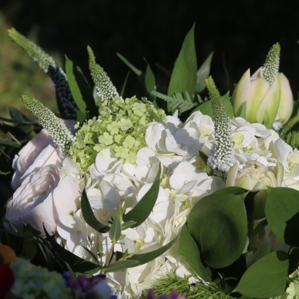 Le bouquet de l'hirondelle – Image 5