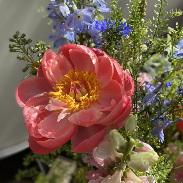 Myrtille et Mandarine – Image 5