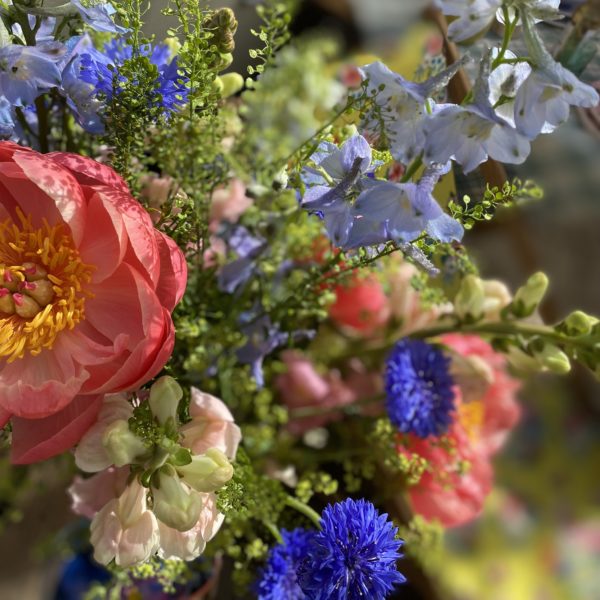 Myrtille et Mandarine – Image 3