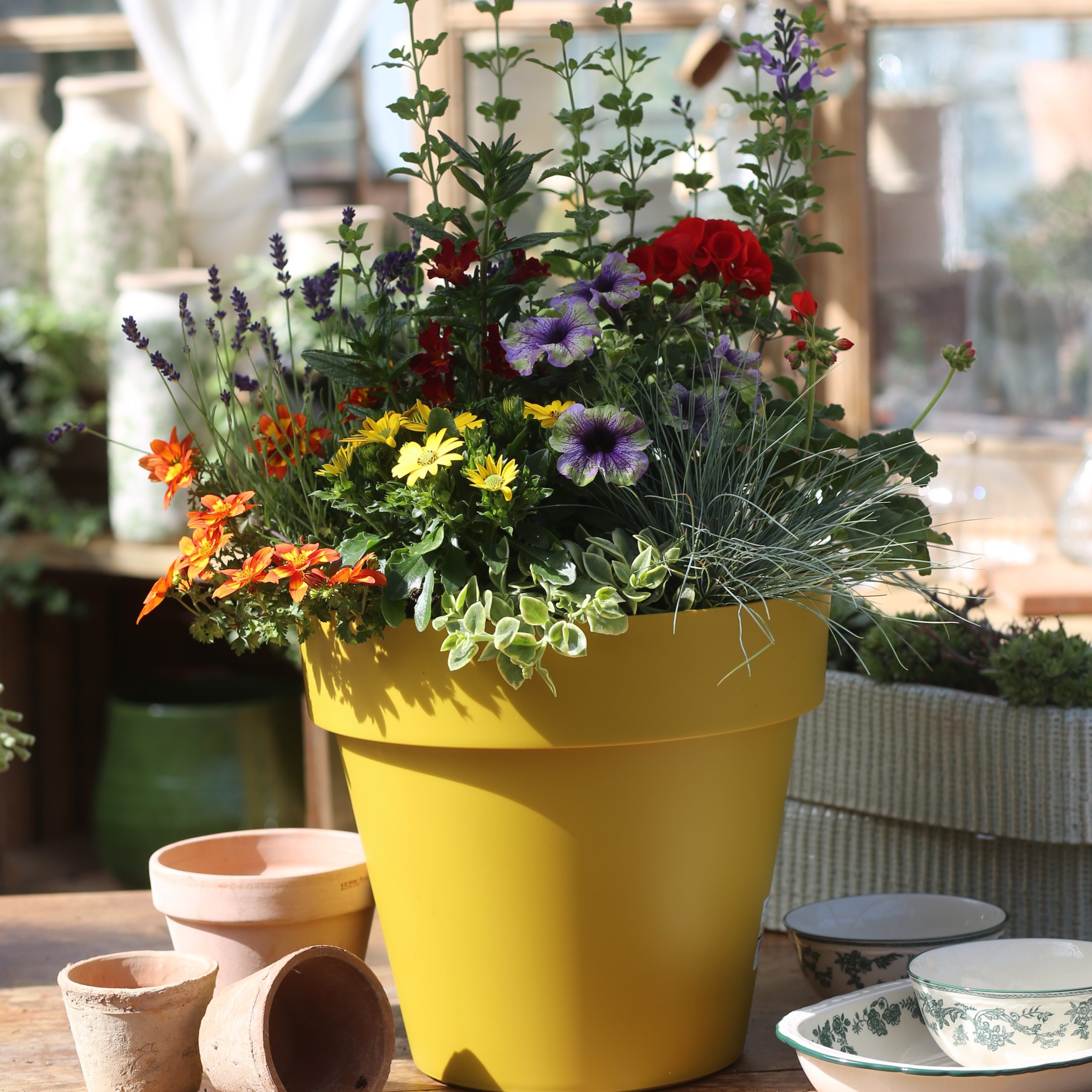 Le Pot Jaune