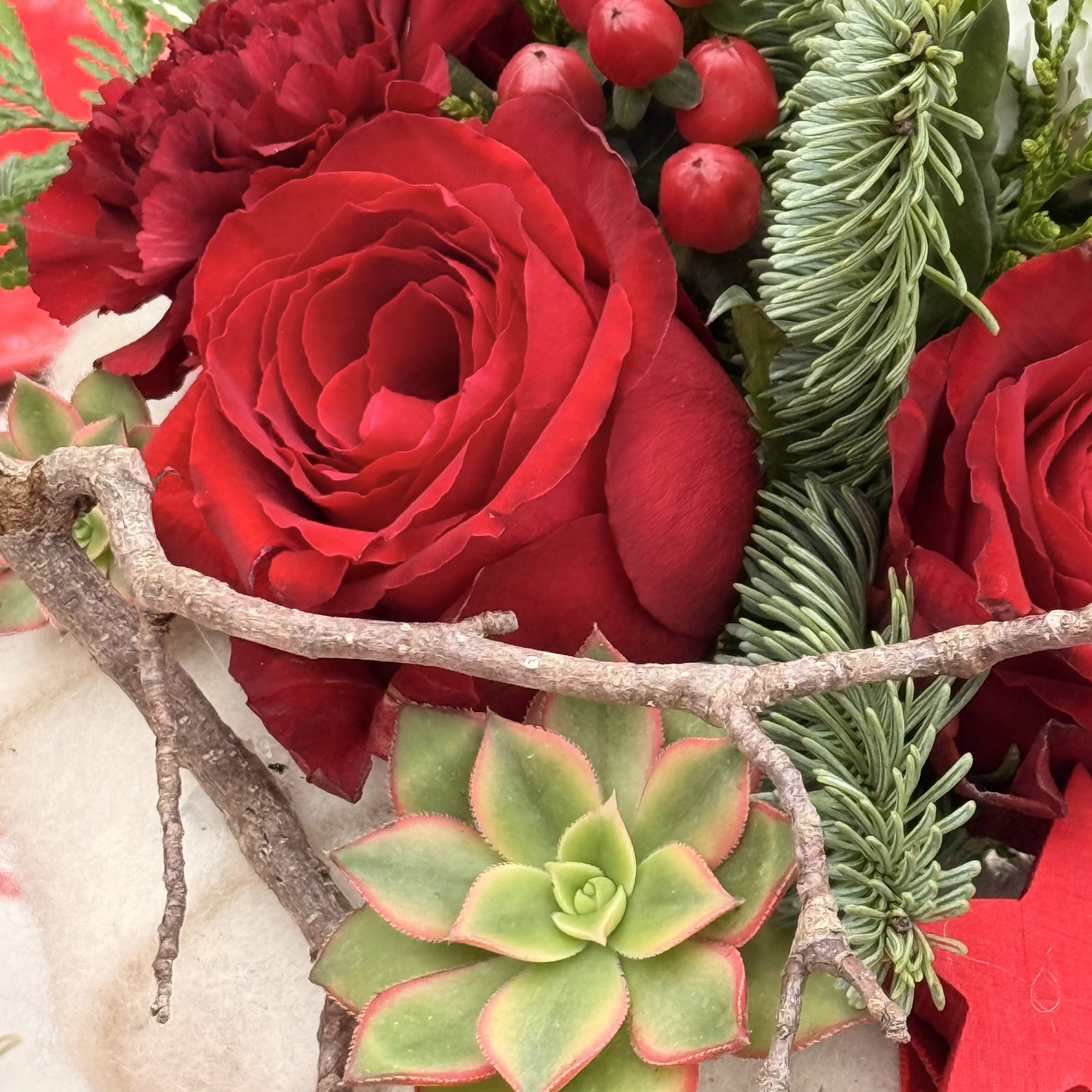 L'histoire du Rouge et du Blanc – Image 4