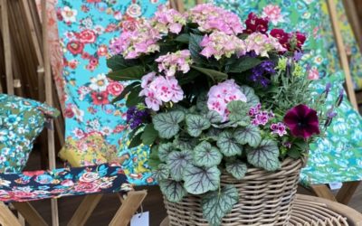 Comment bien entretenir une jardinière ou une plante en pot ?