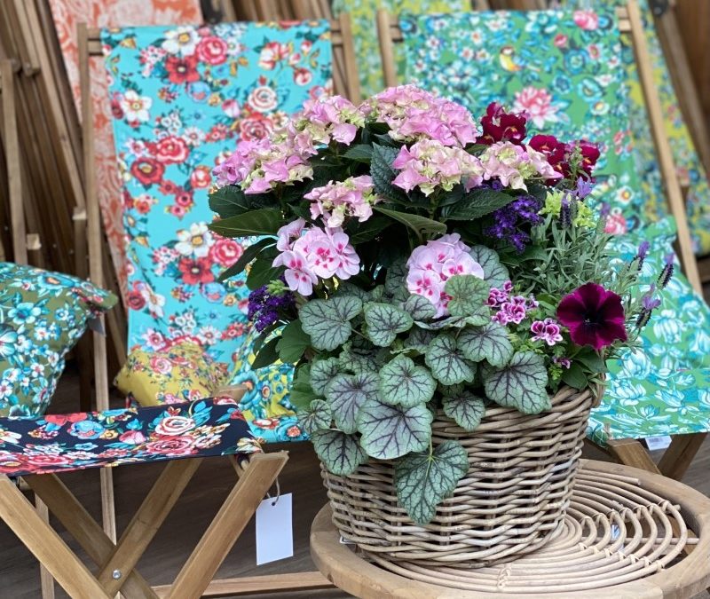 Comment bien entretenir une jardinière ou une plante en pot ?