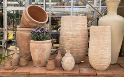 Par quoi remplacer les pots en plastique ?