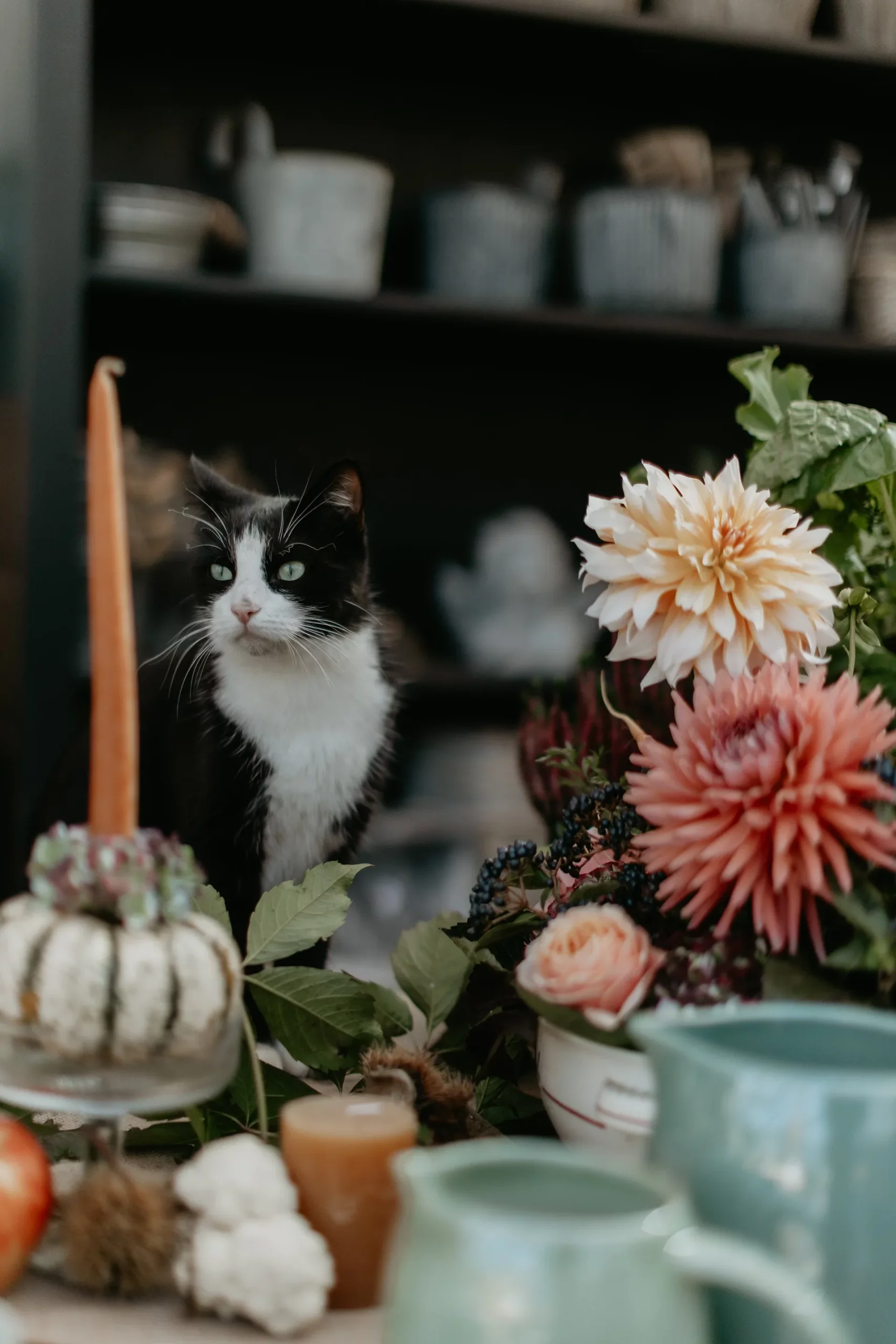 Le Jardin du Rudel , fleuriste à ALBI