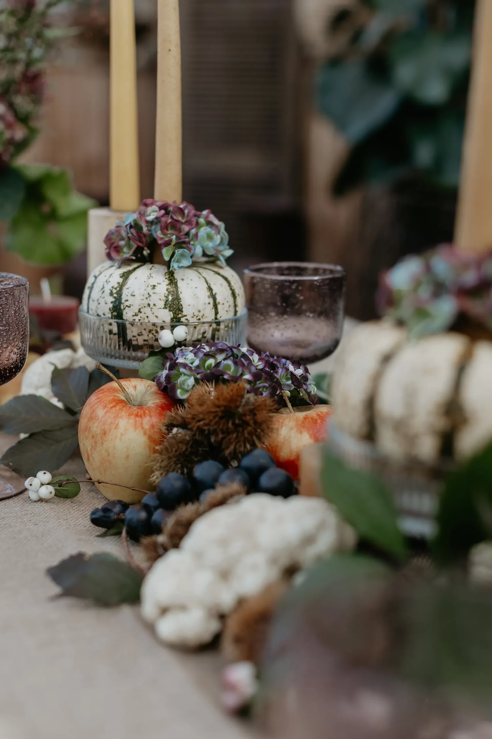 Le Jardin du Rudel , fleuriste à ALBI