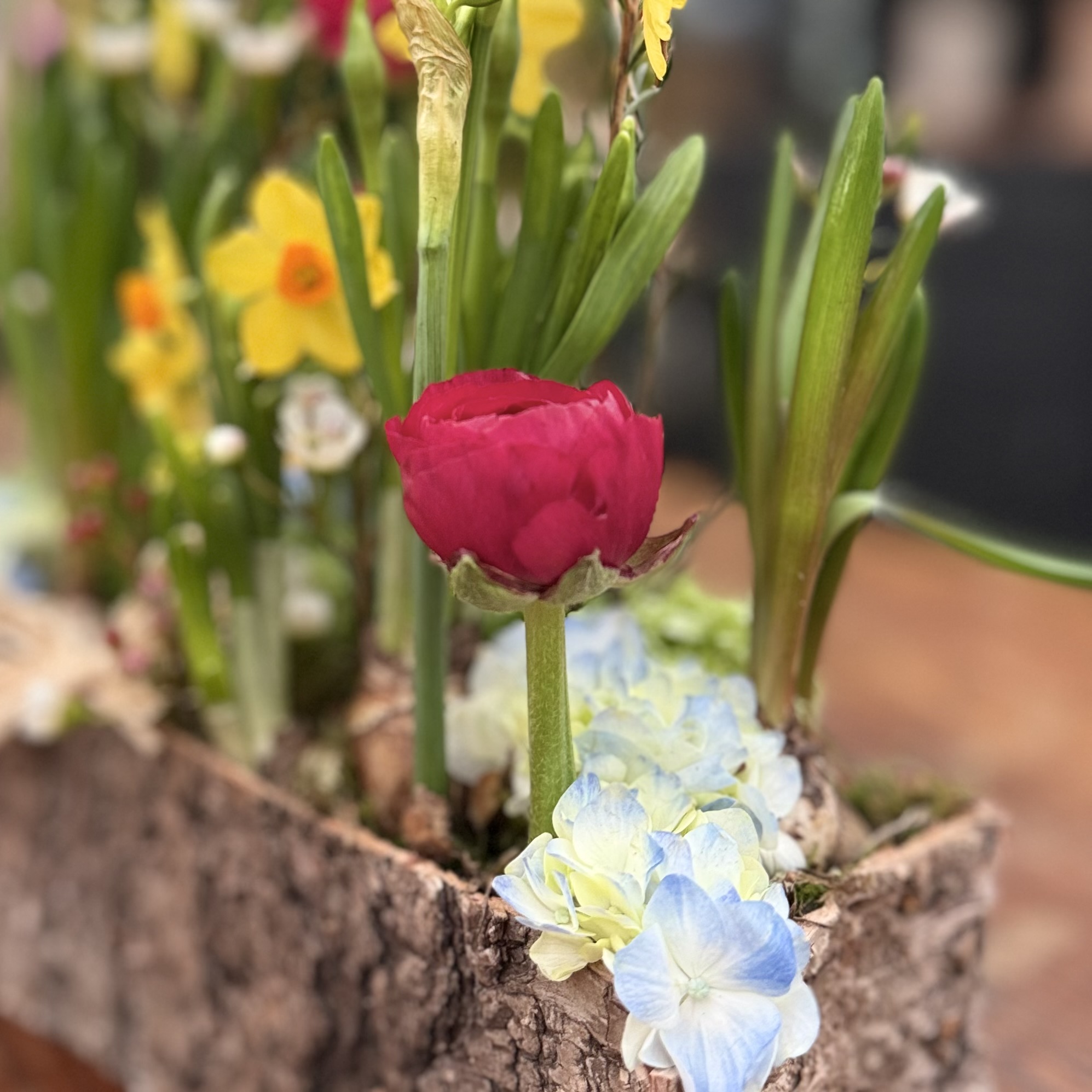 Jardin en Couleurs – Image 2