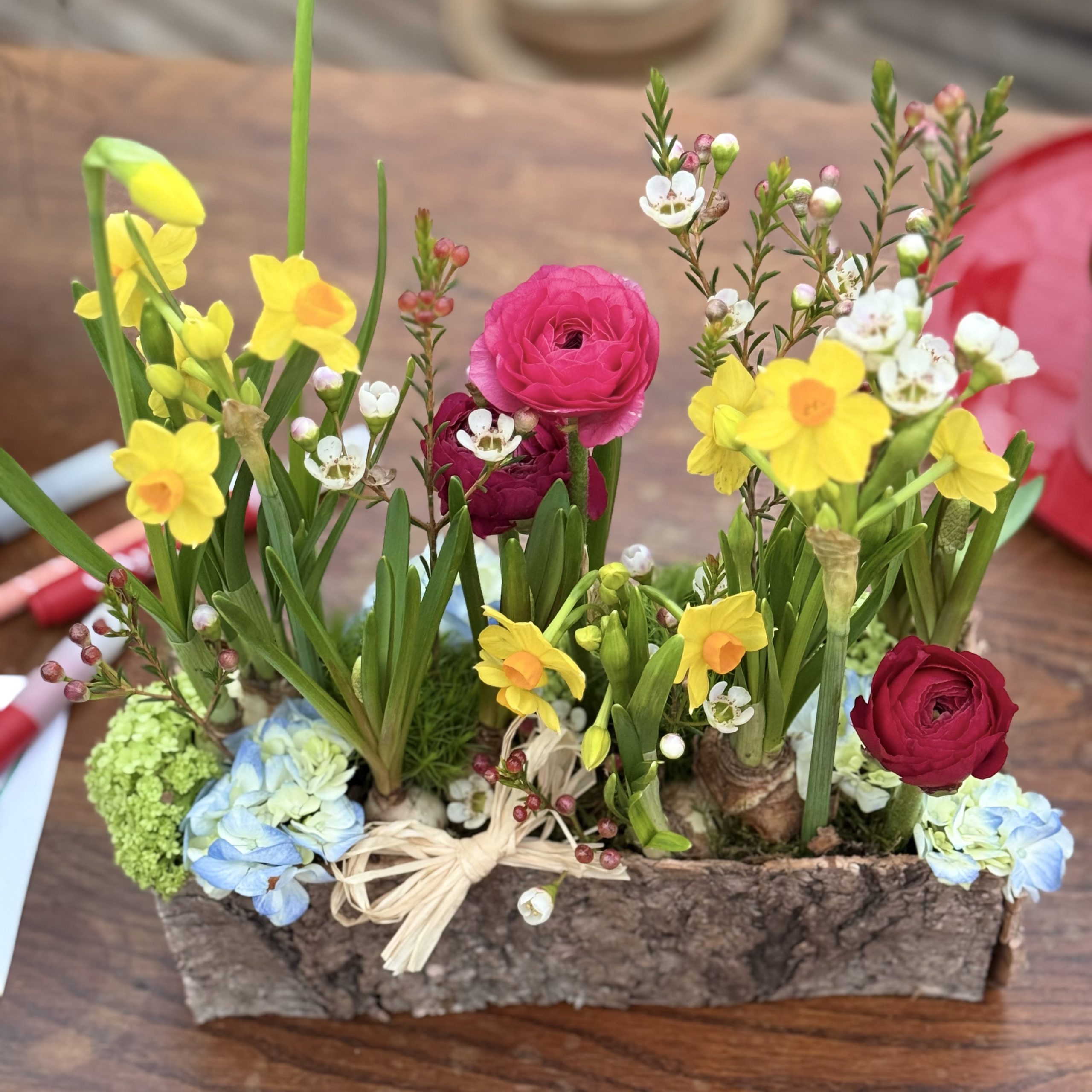 Jardin en Couleurs – Image 3