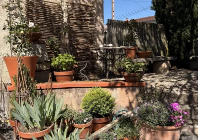 Plantation d’un arbuste au printemps : conseils de votre Pépinière à Albi