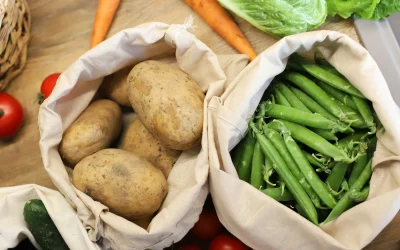 Les tomates du JARDIN DU RUDEL – producteur à Albi –