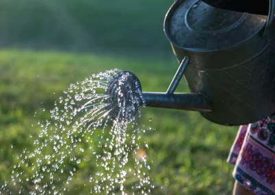 Plantation d’un arbuste au printemps : conseils de votre Pépinière à Albi