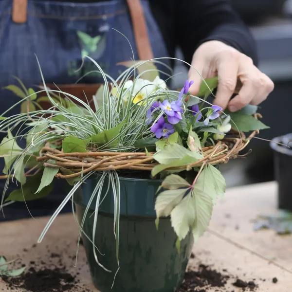 Les ateliers premium : Fleur de pot